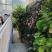 Apartman Rajka, privatni smeštaj u mestu Igalo, Crna Gora - viber_image_2025-07-06_09-49-25-603